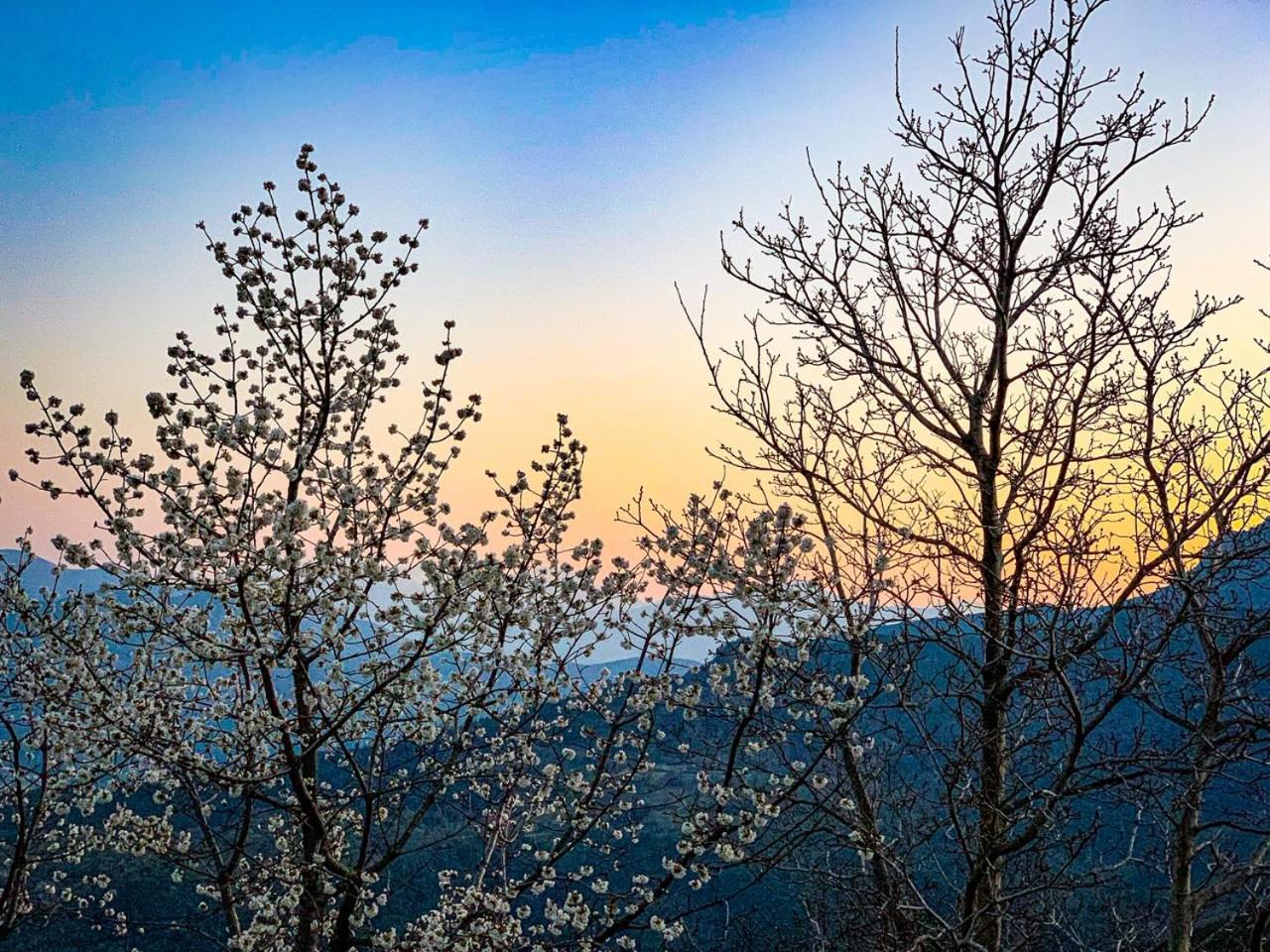 Nuits Magiques Au Village Entre Mer Et Montagnes Bigorno Zewnętrze zdjęcie
