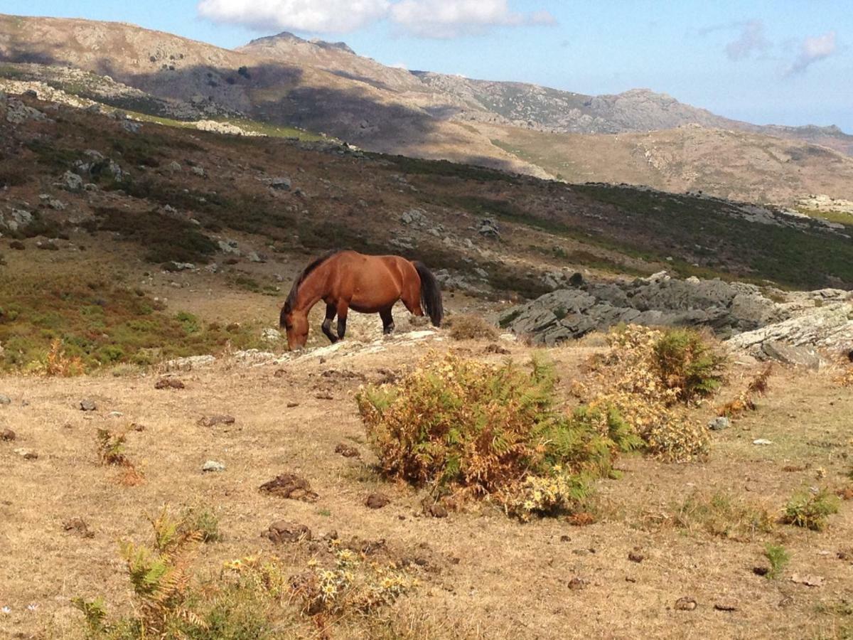 Nuits Magiques Au Village Entre Mer Et Montagnes Bigorno Zewnętrze zdjęcie
