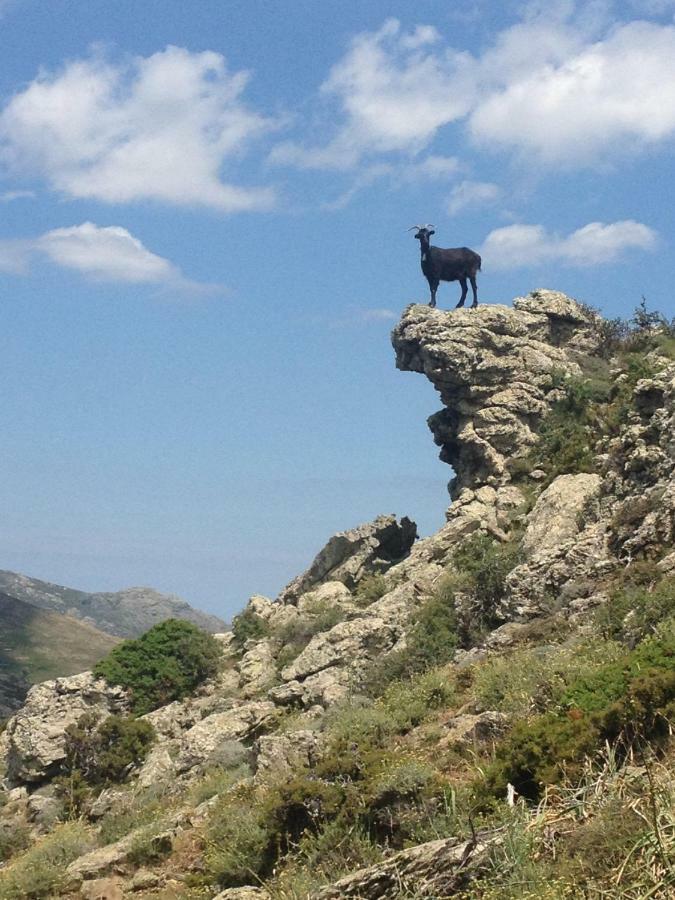 Nuits Magiques Au Village Entre Mer Et Montagnes Bigorno Zewnętrze zdjęcie